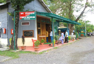 forest-museum-at-andaman