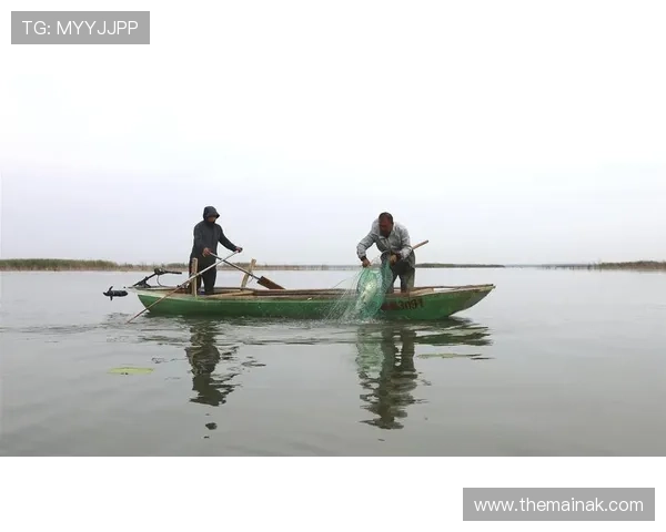 掌握ag捕鱼技巧让你的每一次捕鱼都充满胜利的喜悦 掌握ag捕鱼技巧让你的每一次捕鱼都充满胜利的喜悦